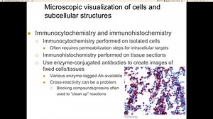 Microscopy of cells and tissues