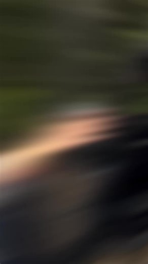 DIY Home Decor: Easy Curtain Ideas