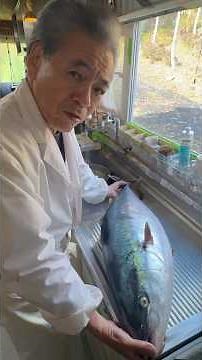 This is it! Winter yellowtail!