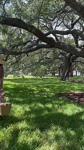 135K views · 28 reactions | Meet the Katie Kime slip dress. Made for summer days, fall nights, and everything between. | Katie Kime | Facebook