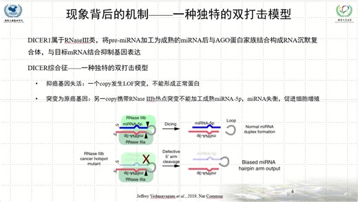 儿童肿瘤DICER1基因突变检测及特征分析