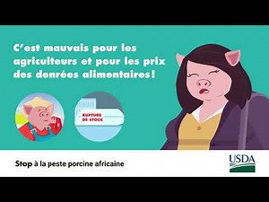 Stop à la peste porcine africaine