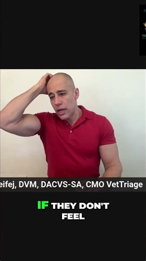 Telementorship: Easing Vet Stress for New Professionals #shorts