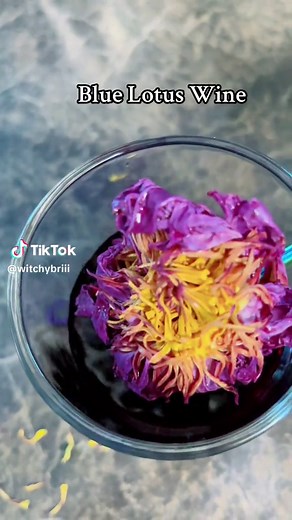 Unlocking the Magic of Blue Lotus: Ritual Drink for Lucid Dreams