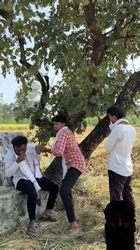 dhan katne bali ki jindagi..