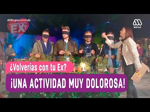 ¿Volverías con tu Ex? - Una actividad muy dolorosa / Capítulo 78