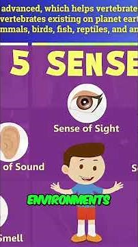Vertebrates Explained: Anatomy, Characteristics & Examples #shorts