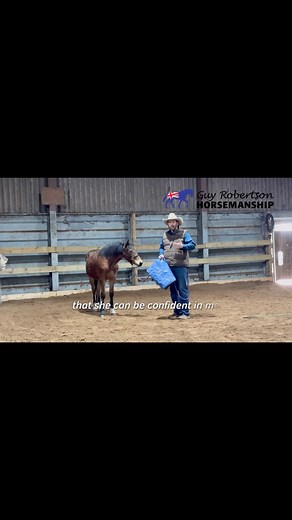12 reactions | Horsemanship Demonstration - Part 1 Young Horse Handling #horsemanship #horses #naturalhorsemanship #horsetrainer | Guy Robertson Horsemanship | Facebook