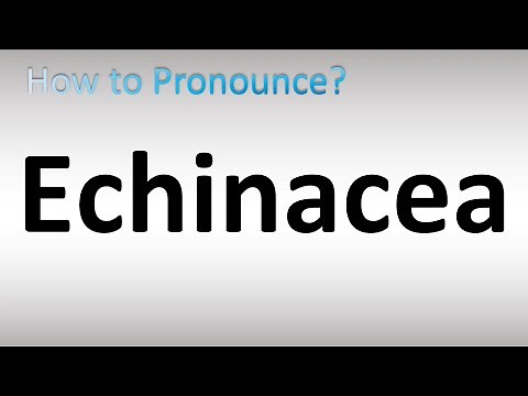 How to Pronounce Echinacea