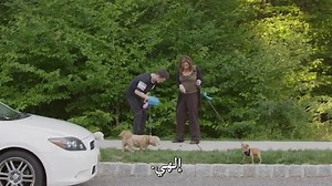 Dating.My.Mother.2017.720p.WEB-DL.akoam.net