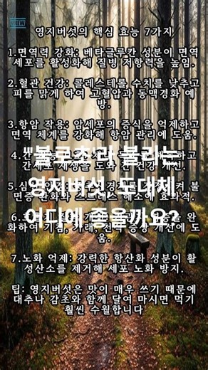 "'불로초'라 불리는 영지버섯 핵심효능7가지 #영지버섯 #동기부여 #쇼츠