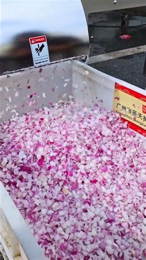 Take a look at this super-large dicing machine which can cut Onions potatoes and carrots i