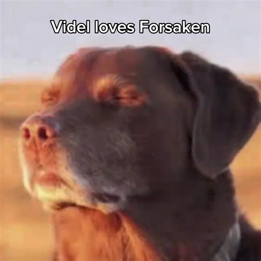 Dragon Ball Z: Exploring Videl Satan's Character