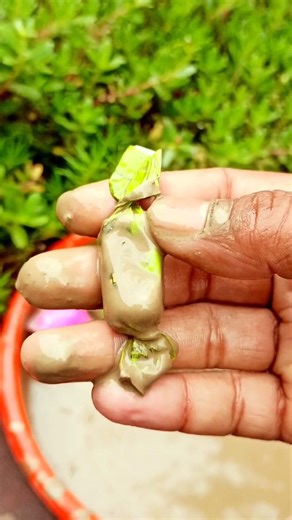 Wash the food and eat it #bushcraft #lifehacks #shorts