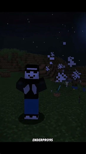 java vs bedrock ☠️ skliten