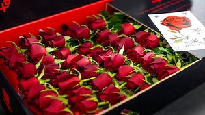 24K views · 839 reactions | Romantico, XO Valentine Roses will make her heart skip a beat. | RoseShire | Facebook