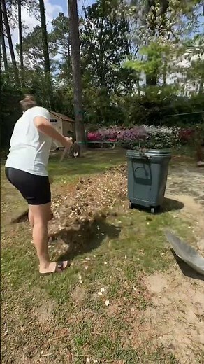 1 hour yard clean up sped up! | Cleaning backyard Timelapse video