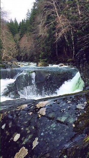 Roaring Snowmelt | Washington State | Taylor River Trail #nature #river #forest