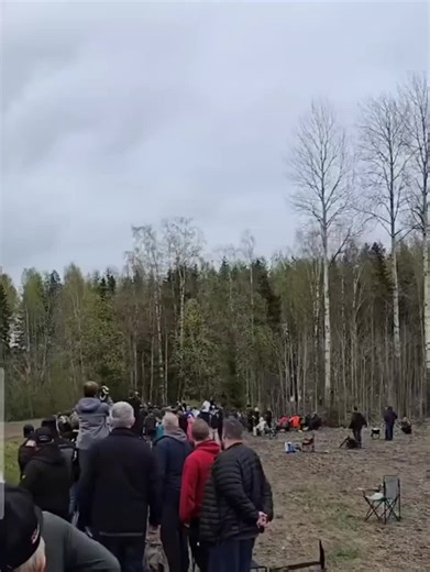 Rallying with the Classic VW Beetle