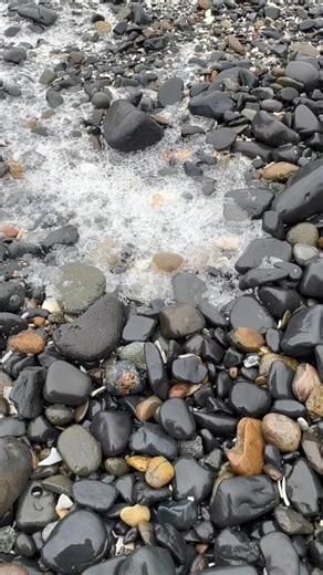 5.7K views · 600 reactions | Awesome geode pocket  #agates #agate #agatehunting #rockhounding #rockhound #beachcombing #asfound #gem #gems #gemstones #crystal #crystals #beachfinds #chalcedony #fossicking #oregoncoast #oregonagates #iloverocks #beachwalks #tidepools #hidengems #hiddentreasurer #geology #bandedagate #explore #hobby #polishedagate #blueagate #carnelian | TidewaterAgates | Facebook