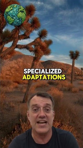 All About #ecosystems 12 - #desert biomes #learn #environmentalscience