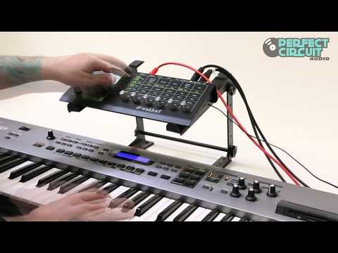 Waldorf Pulse 2 Demo