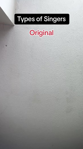 Types Of Singers #fyp #foryou #cover #sing #singing #voiceeffects #typesofsingers