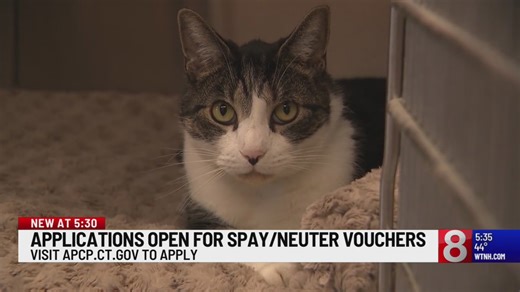 Connecticut Dept. of Agriculture accepting applications for spay-and-neuter program