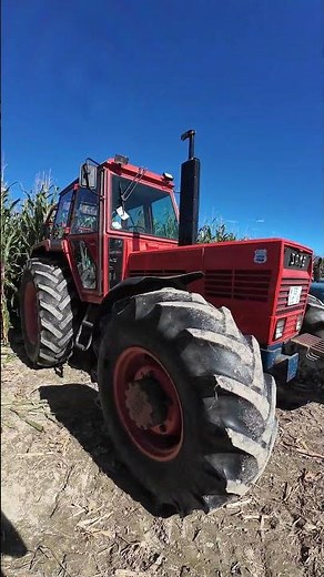 SAME BUFFALO 130 🚜💪👌#same #foryou #italy #foryoupage #bayern #balkan #farming