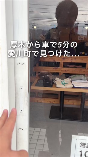 日本一きれいな古着屋「きれいきれい」