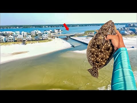 The FLOUNDER are Stacked in THESE Areas!! I Needed them for THIS!