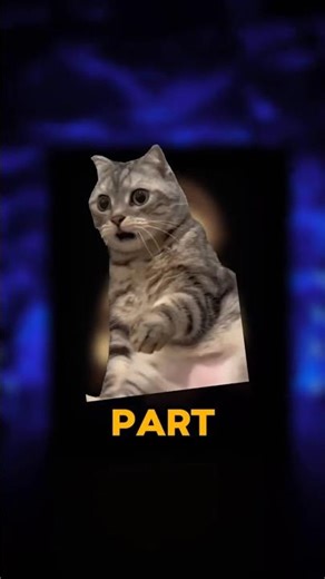 INSANE Layered PAPER ART (@paperoniart)