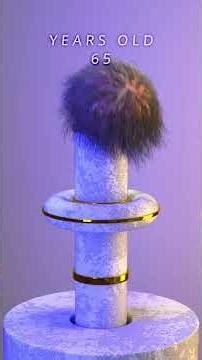 Let’s watch this little creature age in second ! houdini hair and softbody simulation !