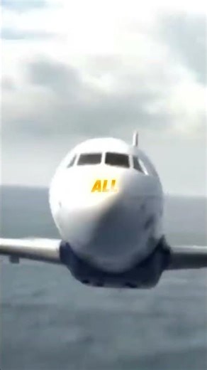 The Miracle on the Hudson — How Flight 1549 Landed With No Engines ✈️