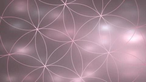 clip-4007562719-soft-pink-circular-arcs-form-delicate-abstract