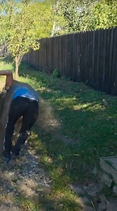 bataie cu nisip | Tiberiu Cornel