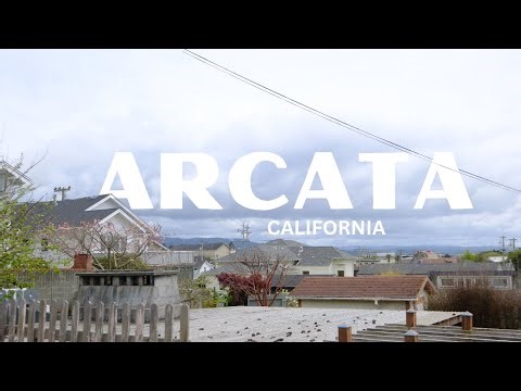 Life in Arcata California | Walks