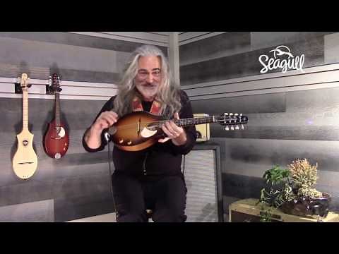 Jeff Smallwood playing the Seagull S8 EQ Mandolin.