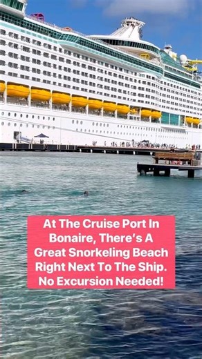 Don't Miss This In Bonaire's Cruise Port! (Free Bonaire Excursion Idea) #cruiseship