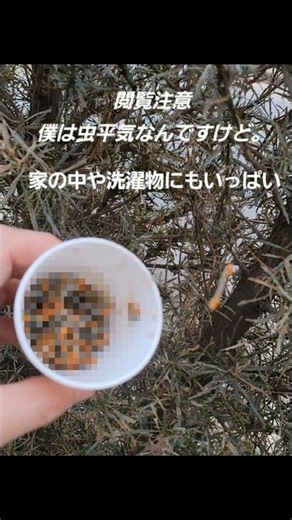 Viewer Discretion Advised: Why Are There So Many Bugs This Year?