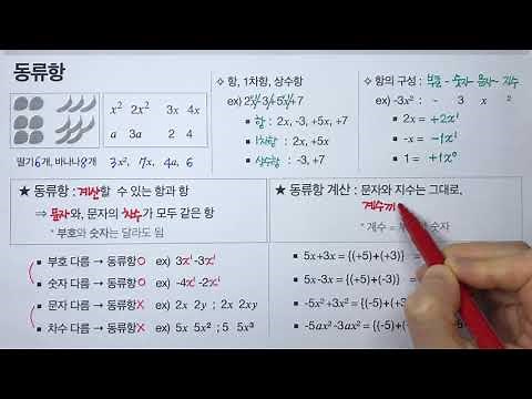 Like terms (middle school mathematics)