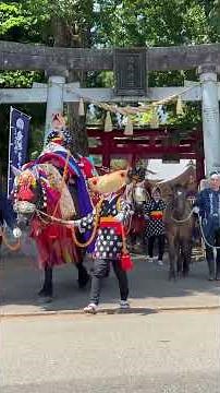 2025.6.13チャグチャグ馬コ2025 写真撮影会で鬼越蒼前神社から出発する馬コたち