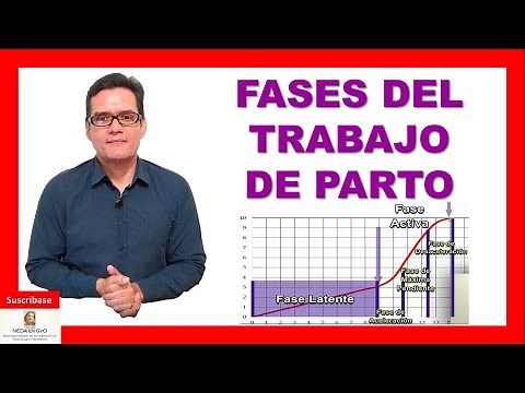 LABOR *LATENT PHASE AND ACTIVE PHASE* FRIEDMAN AND ZHANG Curves CUSTOM CURVES!