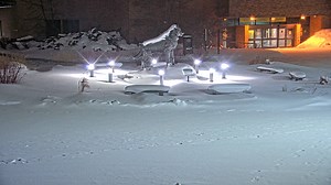 Husky Plaza—Streaming | Webcams