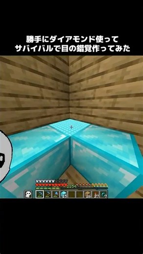 Optical illusion? #Minecraft