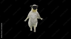 Sheep Dancing, Animal, 3d rendering, Animation Loop, cartoon, included in the end of the clip with Alpha matte.