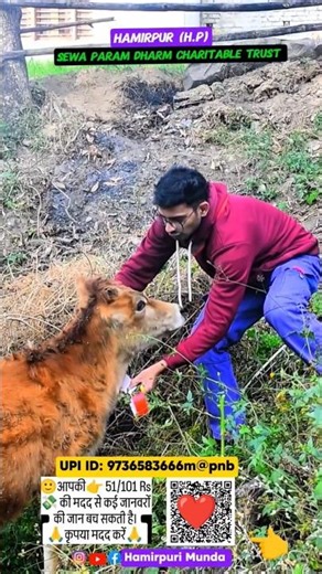 👉Help 🥲 Viral video#reaction #shorts #wow #reels#first#viralvideo #nikon#fun #ytshort #video #bts#yt