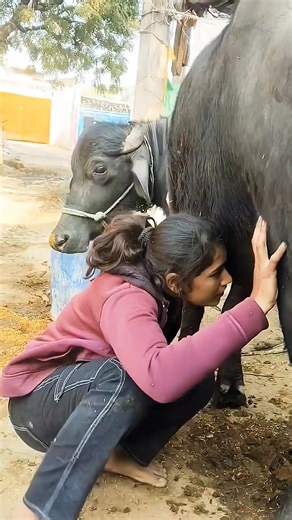 Dehati Basanti on Reels