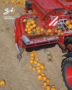 858K views · 1.8K reactions | Pumpkin picking just got a whole lot easier!  | Supercar Blondie | Facebook