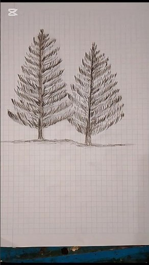 How to Draw Two Pine Trees with Pencil | Easy Step-by-Step Tutorial for Beginners #drawing #art #usa